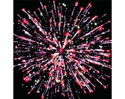 ЕС640 По поводу Батареи салютов до 25 залпов 